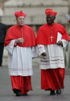 Vatikan; Tod von Papst Johannes Paul II, Kardianl Walter Kasper