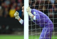 Fussball International WM Qualifikation 2014:  Torwart Diego BENAGLIO (Schweiz)