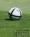 Fussball INTERNATIONAL  EURO 2004