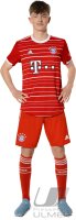 Fussball 1. Bundesliga Saison 22/23: Paul Wanner (FC Bayern Muenchen)