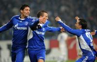 FUSSBALL, 1. BUNDESLIGA, 20. Spieltag: Schalke - Hoffenheim