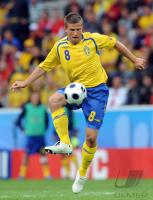 FUSSBALL EURO 2008: Schweden, Svensson