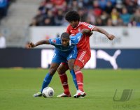 Fussball  1. Bundesliga  13/14: TSG 1899 Hoffenheim - FC Bayern Muenchen