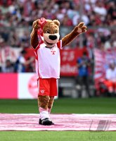 Fussball 1. Bundesliga 23/24: FC Bayern Muenchen - 1.FC Koeln