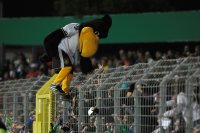 Fussball International  U 20 Laenderspiel:  DFB Maskottchen Paule