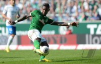 Fussball, 1. Bundesliga  Saison 2013/2014: SV Werder Bremen - 1899 Hoffenhein