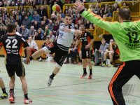Handball 2. Bundesliga TV Neuhausen