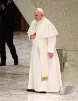 Rom Generalaudienz Papst Franziskus I.