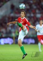 Fussball WM  2010  Qualifikation: Ungarn - Portugal