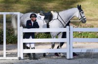 Reiten Tuebinger Landeschampionat 2017