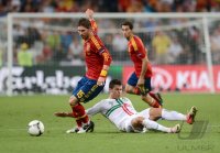 Fussball International Europameisterschaft 2012, Halbfinale: Portugal - Spanien