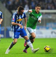 FUSSBALL, 1. BUNDESLIGA, 27. Spieltag: Bremen - Bochum
