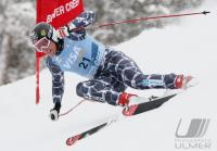 Ski Alpin; Abfahrt Training  Herren