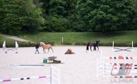 Reiten: Die Reitanlagen Tuebinger Reitgesellschaft in Zeiten von Corona