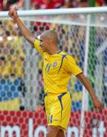 Fussball WM 2006: Nationalmannschaft Schweden