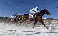 Pferdesport:  White Turf  St. Moritz 2011   Flachrennen