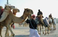 Kamelrennen Doha / Katar