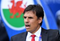 Fussball Europameisterschaft Achtelfinale 2016: Wales - Nordirland