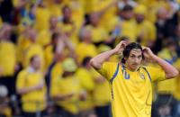 FUSSBALL EURO 2008: Schweden - Spanien
