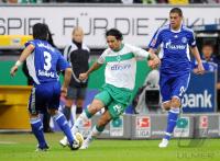 FUSSBALL 1. BUNDESLIGA: Bremen - Schalke