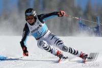 Ski Alpin  Herren Riesenslalom  Beaver Creek