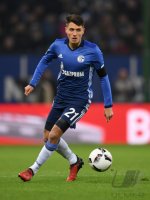 Fussball Bundesliga Saison 16/17: Hamburger SV - Schalke 04