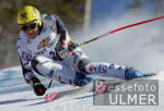 SKI   Weltcup Abfahrt Mnner Hermann Maier (AUT) bester im Training