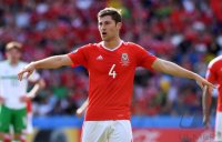 Fussball Europameisterschaft Achtelfinale 2016: Wales - Nordirland