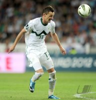 Fussball International  EM Qualifikation:  Milivoje NOVAKOVIC (Slowenien)