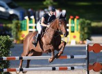 Reiten Tuebinger Landeschampionat 2016