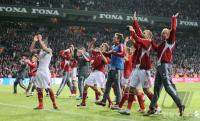 Fussball WM  2010  Qualifikation:  JUBEL Daenemark