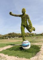 FIFA BEACH SOCCER WORLD CUP 2008