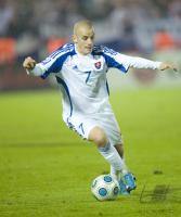 Fussball WM  2010  Qualifikation: Slowakei - Slowenien