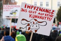 Kundgebung im Tuebinger Anlagenpark: 1200 Menschen demonstrierten gegen die einrichtungsbezogene Impfpflicht