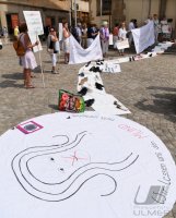 Protestaktion Maria 2.0: Katholischer Deutscher Frauenbund (KDFB) der Dioezeseverband Rottenburg-Stuttgart