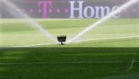 FUSSBALL 1. BUNDESLIGA:  Rasen Feature