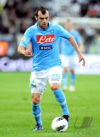 FUSSBALL SERIE A:  Goran Pandev (Napoli)