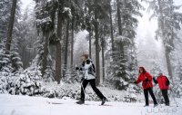 Schmuckbild, Wintersport, Skilanglauf auf dem Kniebis in Baiersbronn