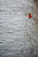 FUSSBALL EURO 2008: Niederlande - Russland