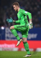 Fussball Bundesliga Saison 16/17: Hamburger SV - Schalke 04