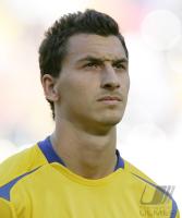 Fussball WM 2006: Nationalmannschaft Schweden