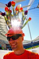 FUSSBALL WM 2010,  VORRUNDE:  Holland - Japan