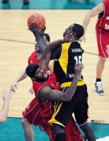 Basketball  1. Bundesliga 2008/2009   Walter Tigers - Brose Basket Bamberg