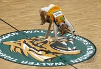 Basketball 1. Bundesliga  07/08  Walter Tigers Tuebingen  -  Paderborn Baskets