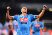 FUSSBALL SERIE A:  Goekhan Inler (SSC Neapel)