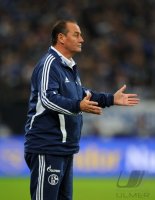 Fussball 1. Bundesliga Saison 2012/2013: FC Schalke 04 - VfL Wolfsburg