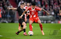 Fussball 1. Bundesliga  Saison  2025/2026  12. Spieltag 
FC Bayern Muenchen - FC St. Pauli