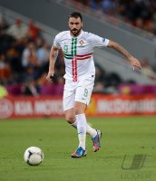 Fussball International Europameisterschaft 2012, Halbfinale: Portugal - Spanien