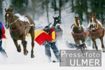 REITSPORT White Turf St. Moritz Skikjring; Feature