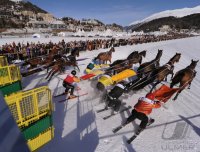 Pferdesport:  White Turf  St. Moritz 2011   Skijoering